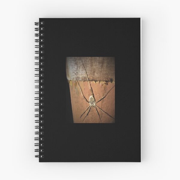 Item preview, Spider on The Wall designed and sold by JennBBDesigns.