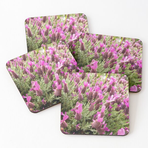 Coasters