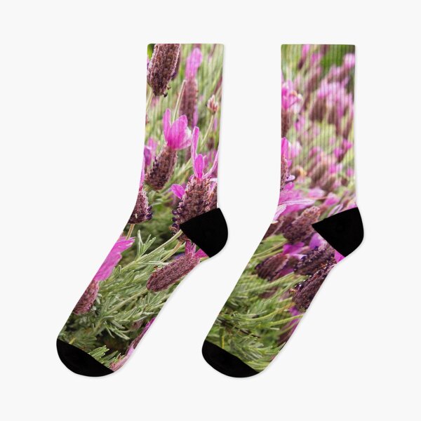 Item preview, Lavender bloom at The Gardens at Lake Merritt designed and sold by Douglas E. Welch Design and Photography.
