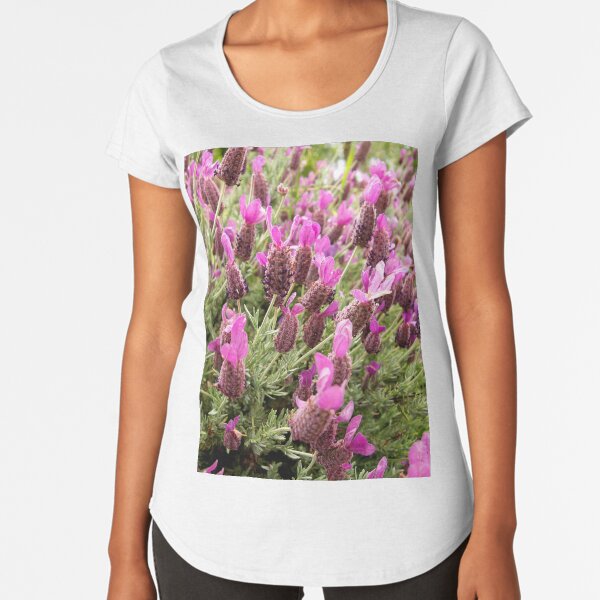 Premium Scoop T-Shirt