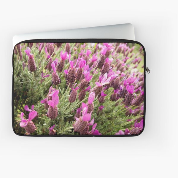 Laptop Sleeve