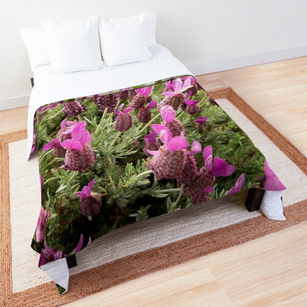Comforter
