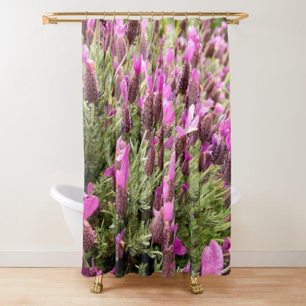 Shower Curtain