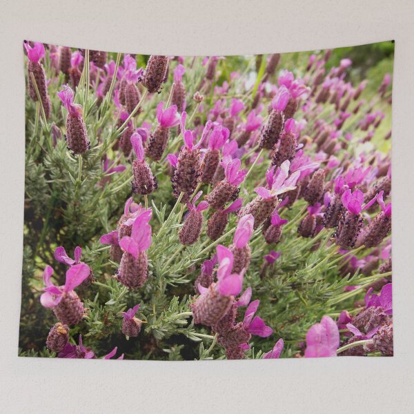 Item preview, Lavender bloom at The Gardens at Lake Merritt designed and sold by Douglas E. Welch Design and Photography.