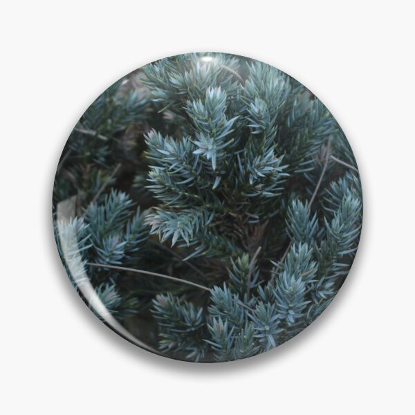 Item preview, Coniferous Tree or Bush Leaves designed and sold by Floramisu.