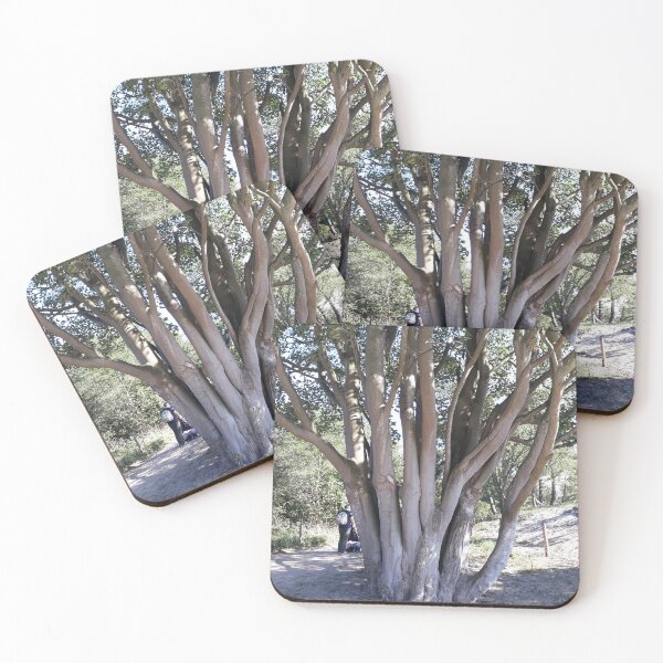 Item preview, Trees. Holland nature park. designed and sold by UnsereWelt.