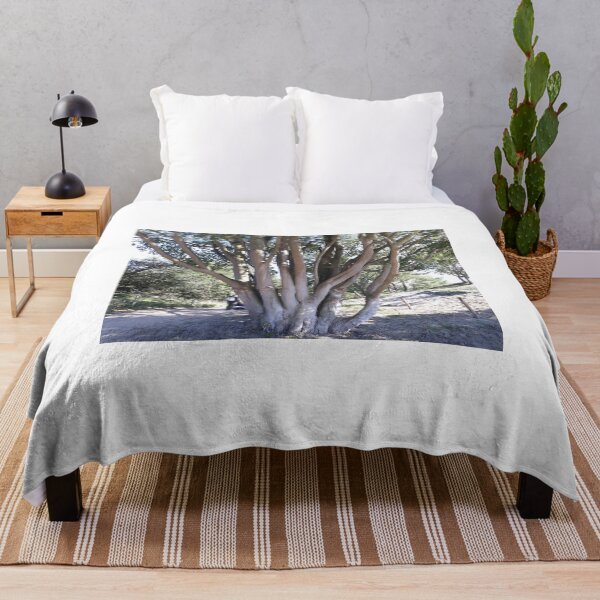 Item preview, Trees. Holland nature park. designed and sold by UnsereWelt.