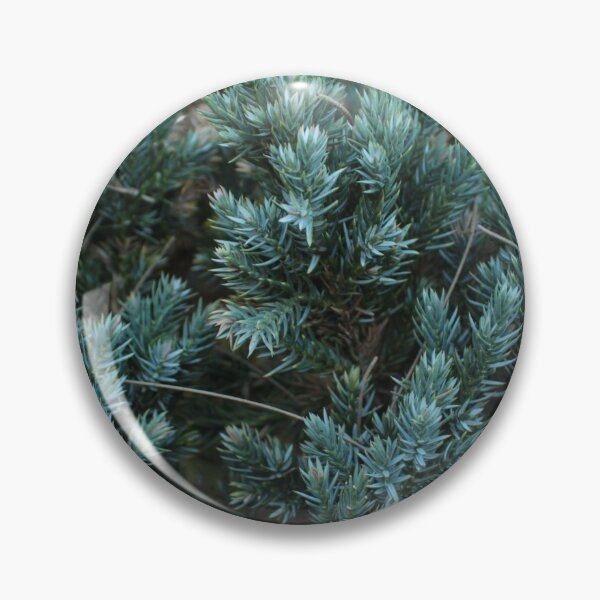 Item preview, Coniferous Tree or Bush Leaves - The Sequel designed and sold by Floramisu.