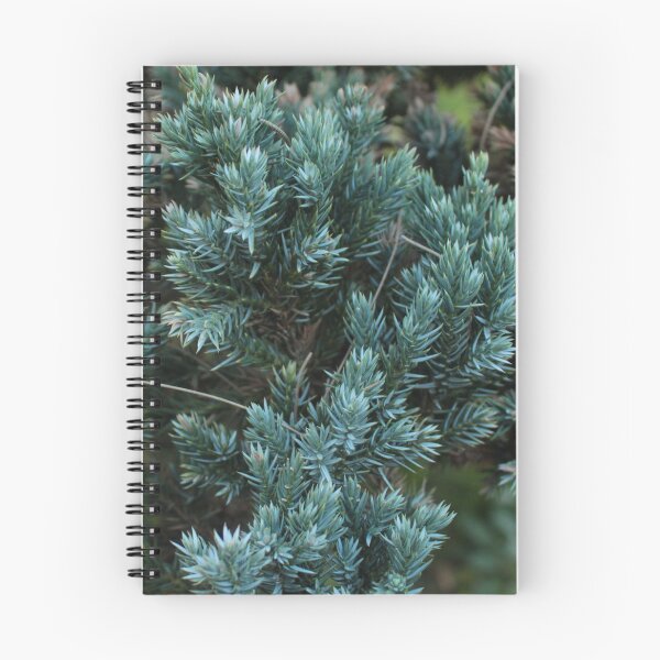 Item preview, Coniferous Tree or Bush Leaves - The Sequel designed and sold by Floramisu.