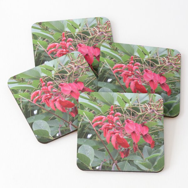 Item preview, Erythrina flowers designed and sold by greentiger1.
