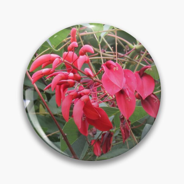 Item preview, Erythrina flowers designed and sold by greentiger1.