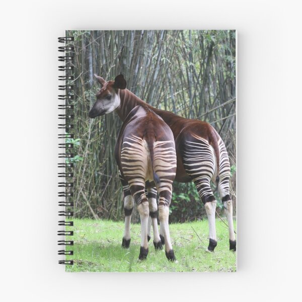 Item preview, Okapi  designed and sold by Jennifer  Sweeney.