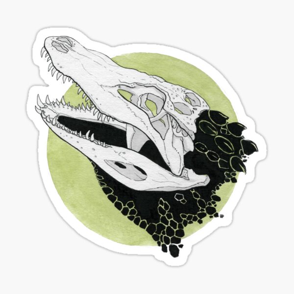 I may have gotten ANOTHER crocodile skull tattoo today can never have too  many am I right  rCrocodiles