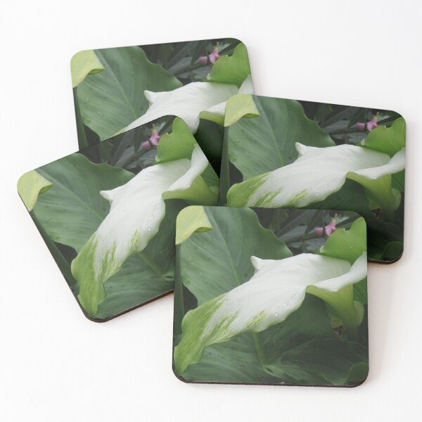 Item preview, Green and white arum lily designed and sold by greentiger1.