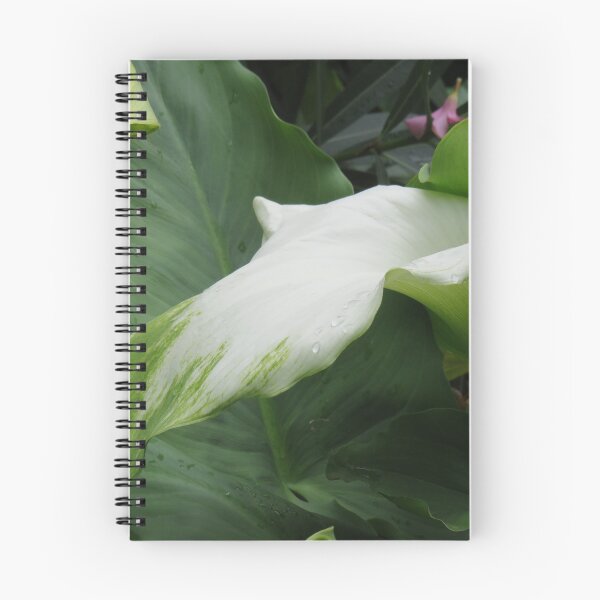 Item preview, Green and white arum lily designed and sold by greentiger1.