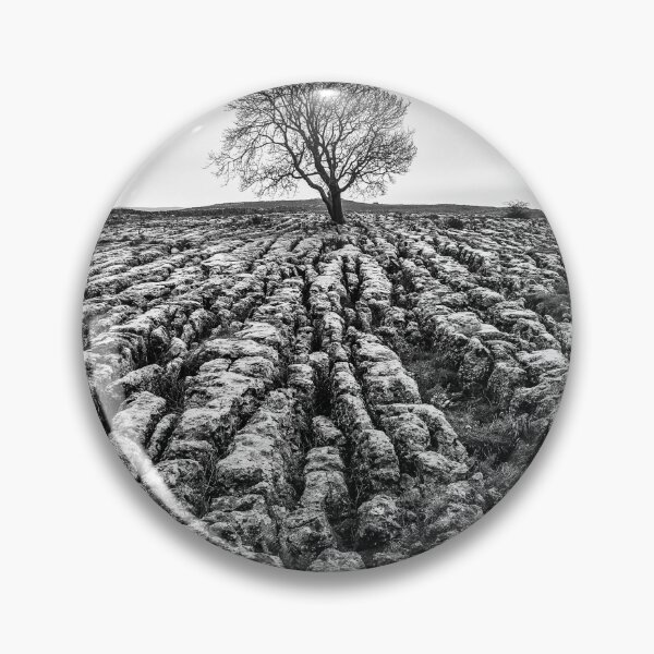 Item preview, Malham Tree, Yorkshire Dales designed and sold by heidipics.