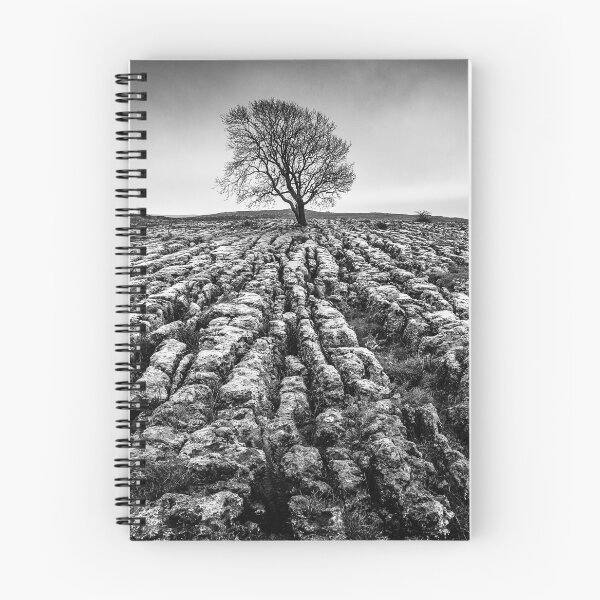 Item preview, Malham Tree, Yorkshire Dales designed and sold by heidipics.