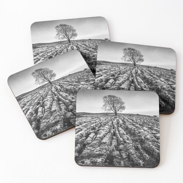 Item preview, Malham Tree, Yorkshire Dales designed and sold by heidipics.