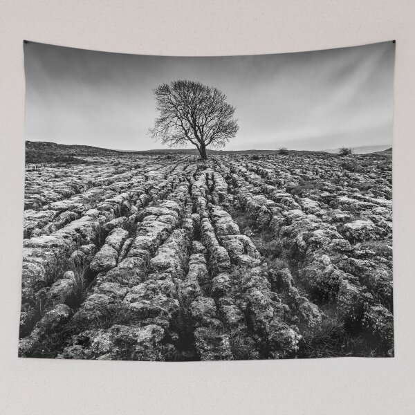 Item preview, Malham Tree, Yorkshire Dales designed and sold by heidipics.