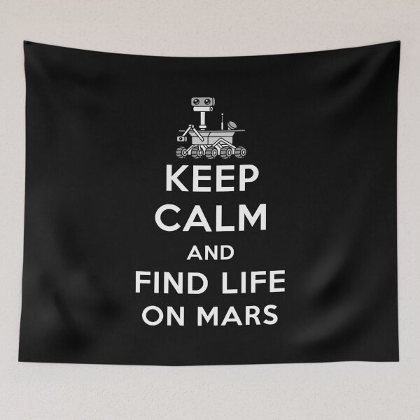 Item preview, Keep Calm FInd Life On Mars Perseverance Rover Landing Joke designed and sold by trendo.