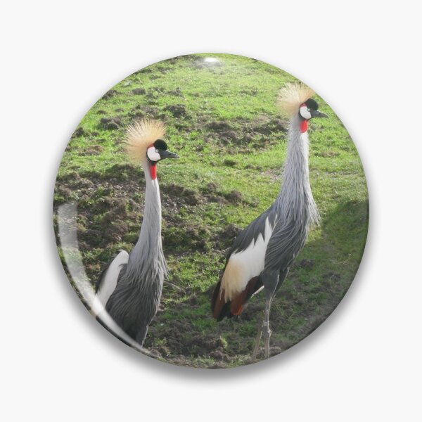 Item preview, African Crowned Cranes birds 018 designed and sold by pasta26mc.