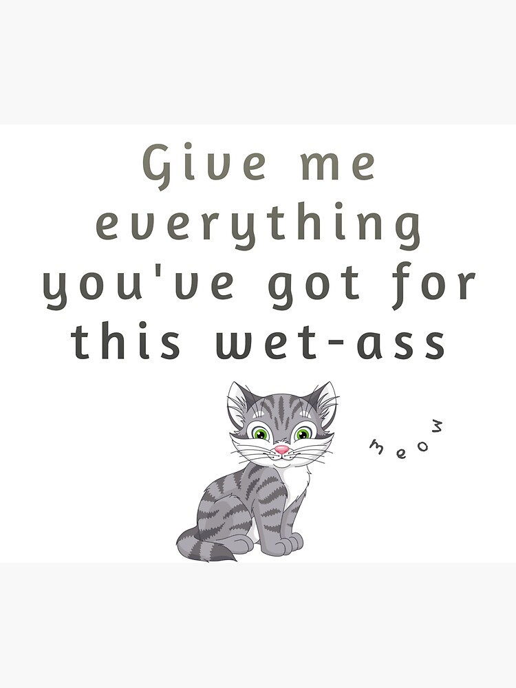Give Me Everything Youve Got For This Wet Ass Pussy Funny Grey Cat Meme Sticker For Sale By 8229