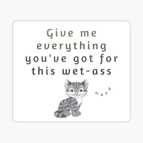 Give Me Everything Youve Got For This Wet Ass Pussy Funny Grey Cat Meme Sticker For Sale By 8905