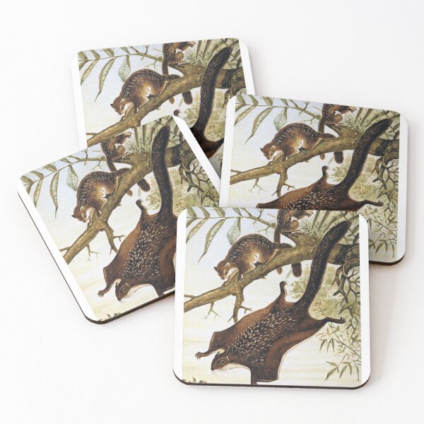 Item preview, Flying Squirrel  designed and sold by redoARTstore.