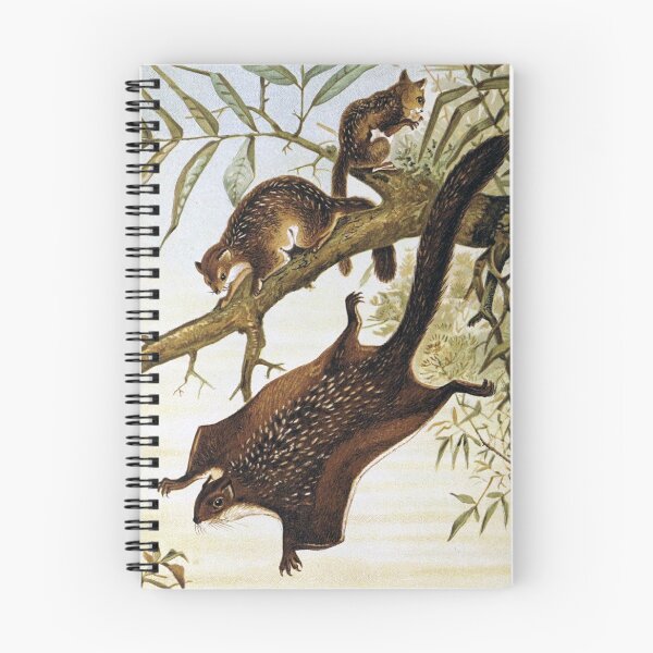 Item preview, Flying Squirrel  designed and sold by redoARTstore.