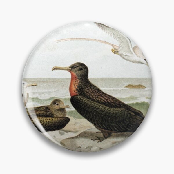 Item preview, Frigate and Tropic-Birds designed and sold by redoARTstore.