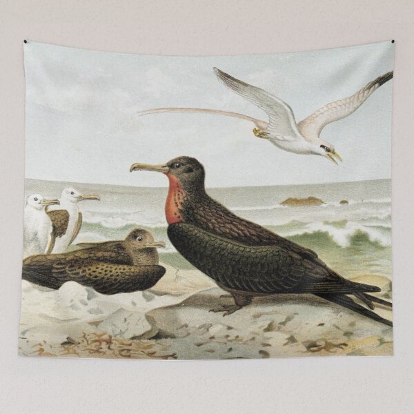 Item preview, Frigate and Tropic-Birds designed and sold by redoARTstore.
