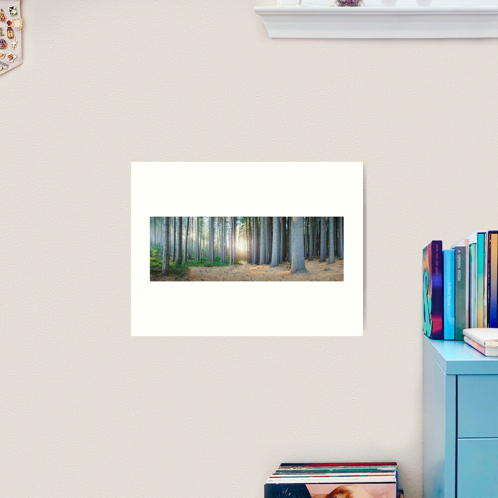 Sugar Pines, Laurel Hill, New South Wales, Australia Art Print