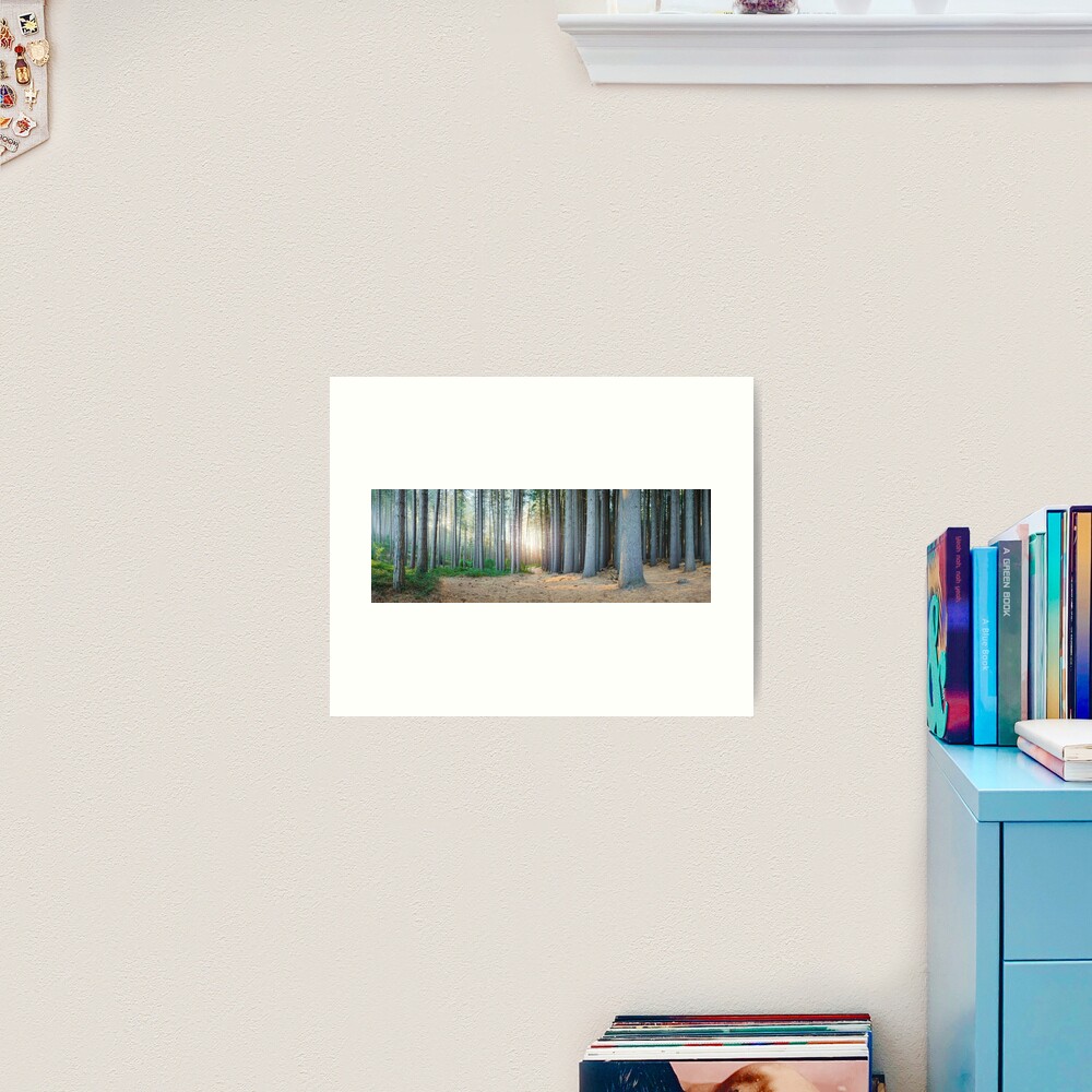 Sugar Pines, Laurel Hill, New South Wales, Australia Art Print