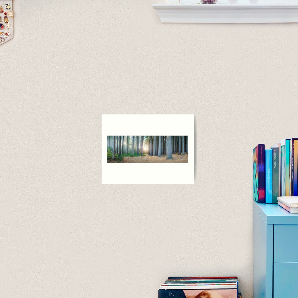 Sugar Pines, Laurel Hill, New South Wales, Australia Art Print