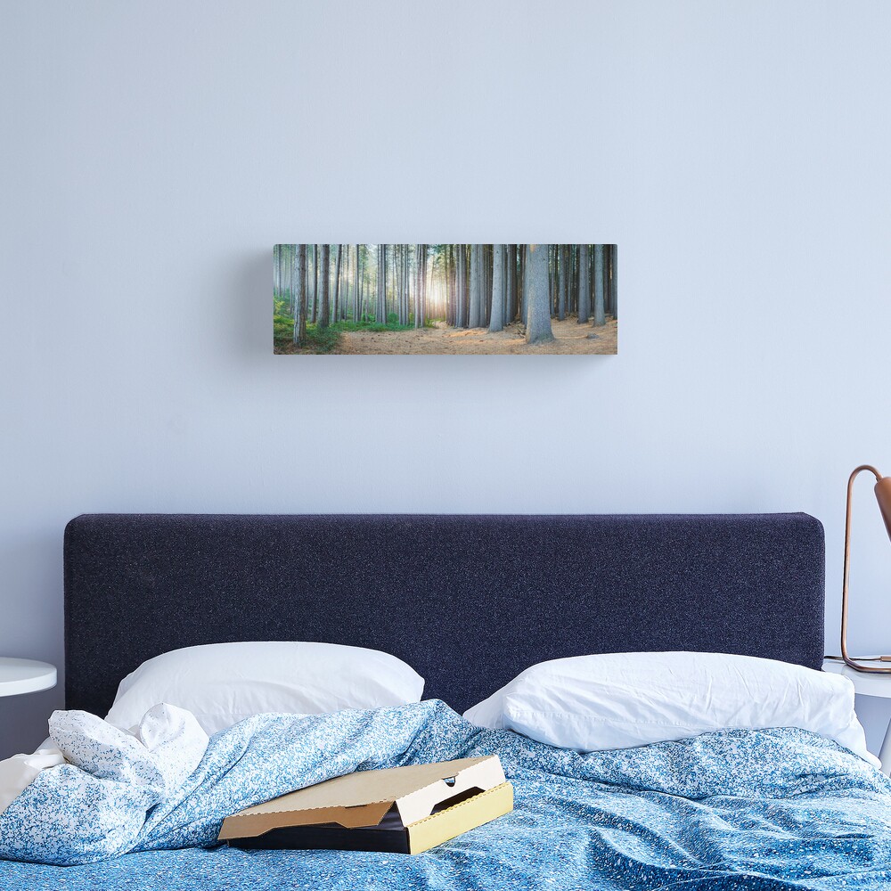 Sugar Pines, Laurel Hill, New South Wales, Australia Canvas Print