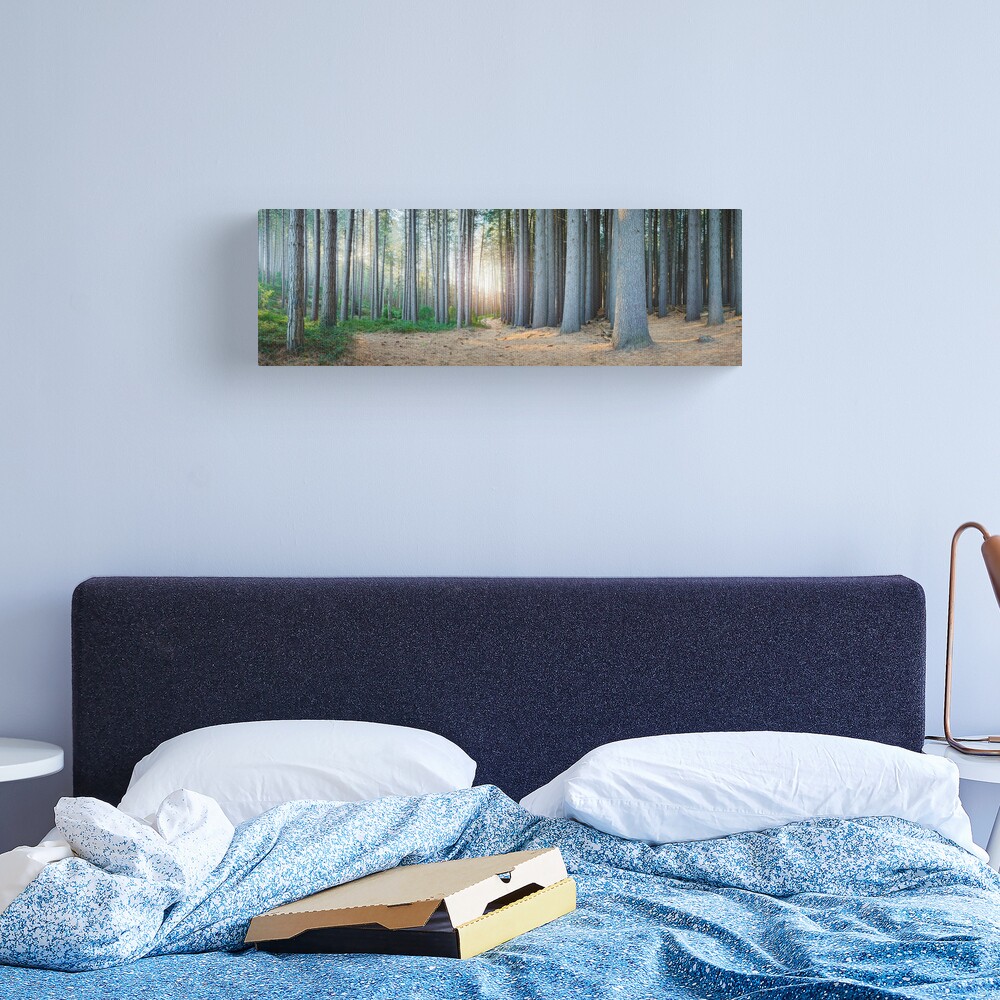Sugar Pines, Laurel Hill, New South Wales, Australia Canvas Print