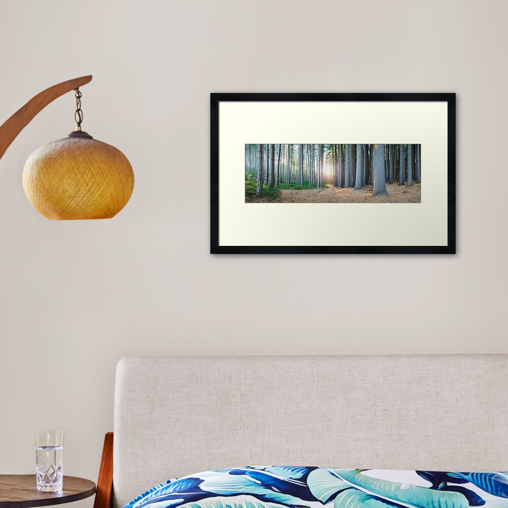 Sugar Pines, Laurel Hill, New South Wales, Australia Framed Art Print