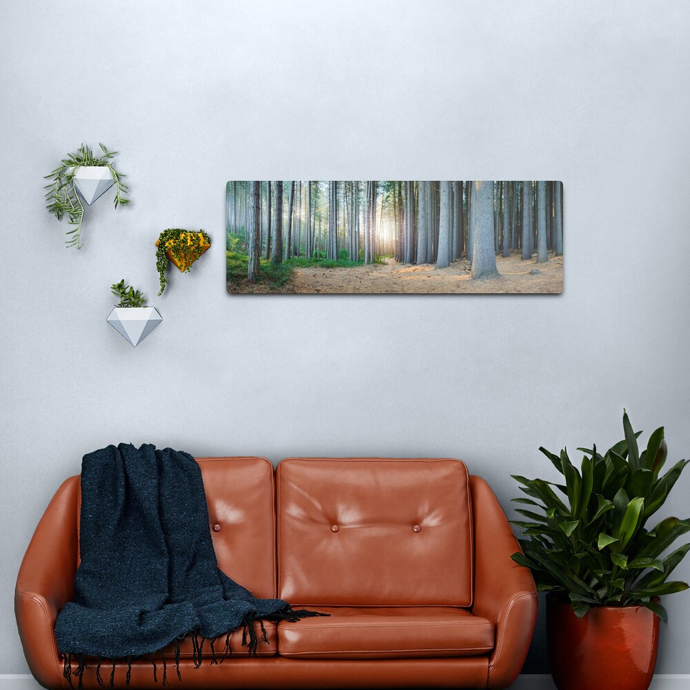 Sugar Pines, Laurel Hill, New South Wales, Australia Metal Print