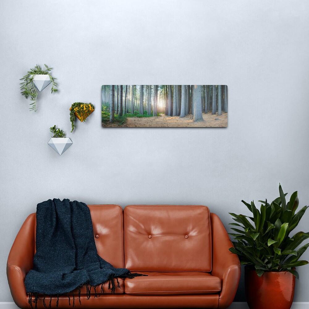 Sugar Pines, Laurel Hill, New South Wales, Australia Metal Print