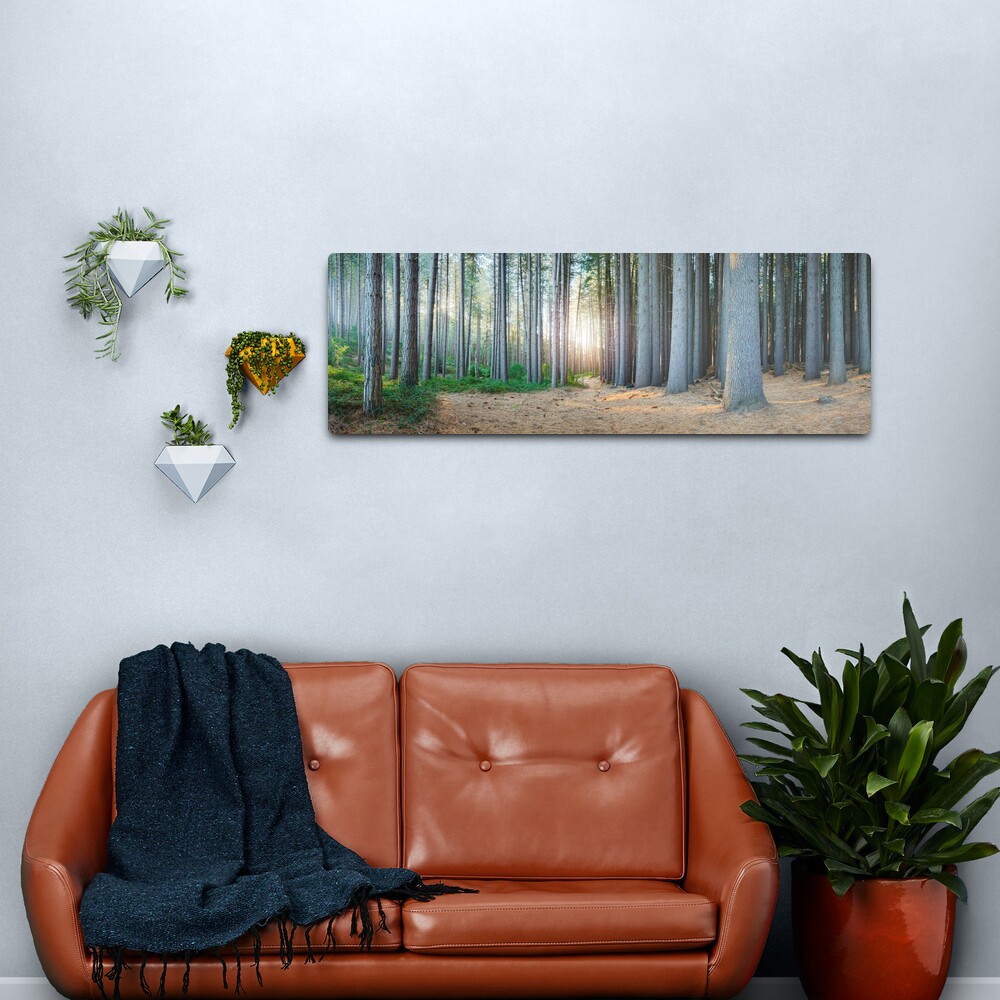 Sugar Pines, Laurel Hill, New South Wales, Australia Metal Print