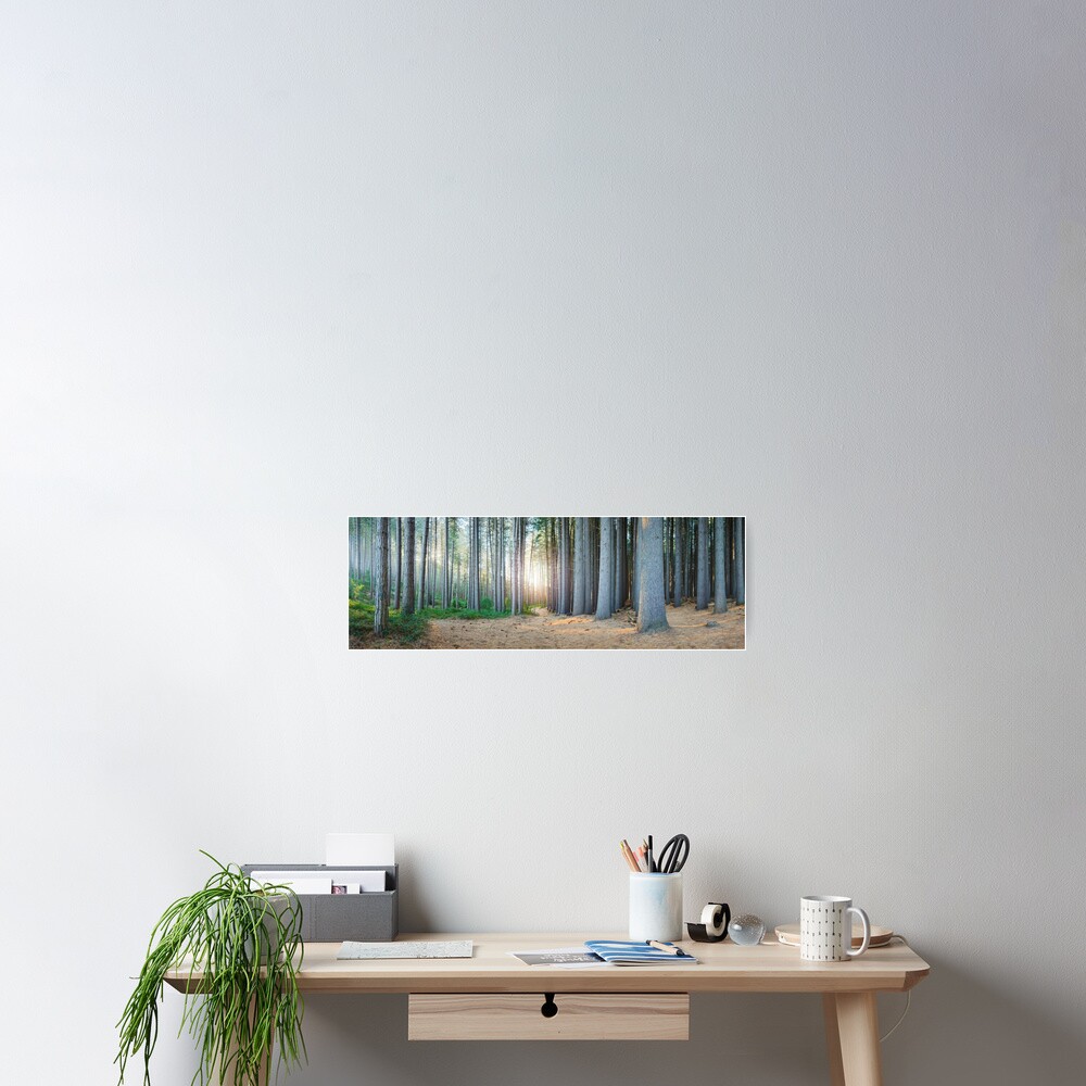 Sugar Pines, Laurel Hill, New South Wales, Australia Poster