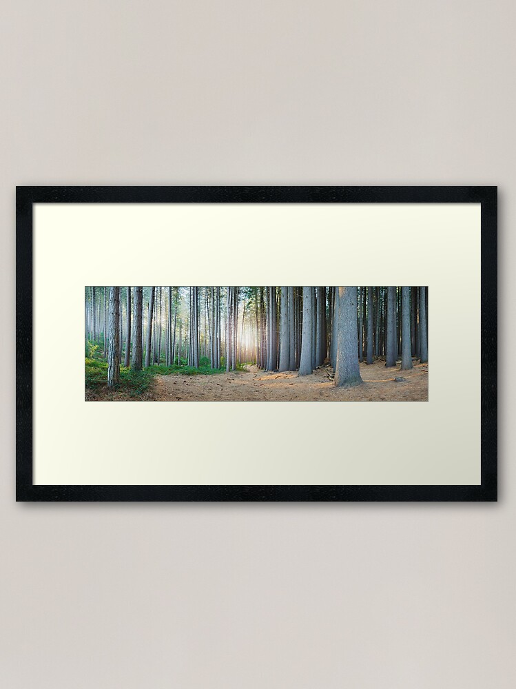 Alternate view of Sugar Pines, Laurel Hill, New South Wales, Australia Framed Art Print