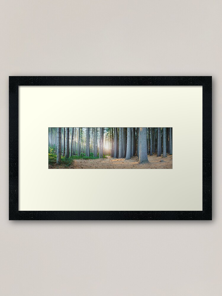 Alternate view of Sugar Pines, Laurel Hill, New South Wales, Australia Framed Art Print