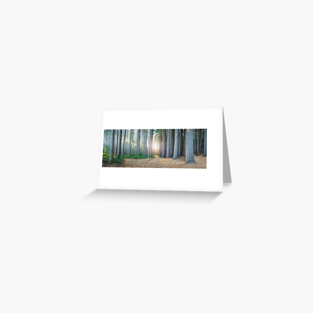 Sugar Pines, Laurel Hill, New South Wales, Australia Greeting Card