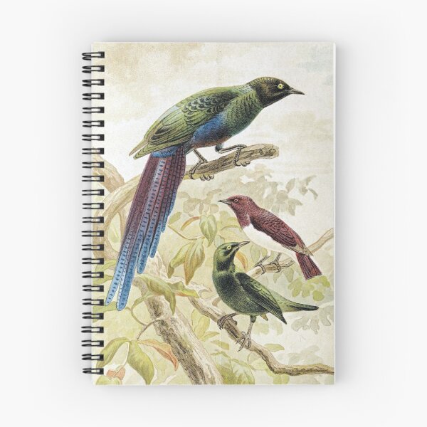 Item preview, Glossy Starlings designed and sold by redoARTstore.