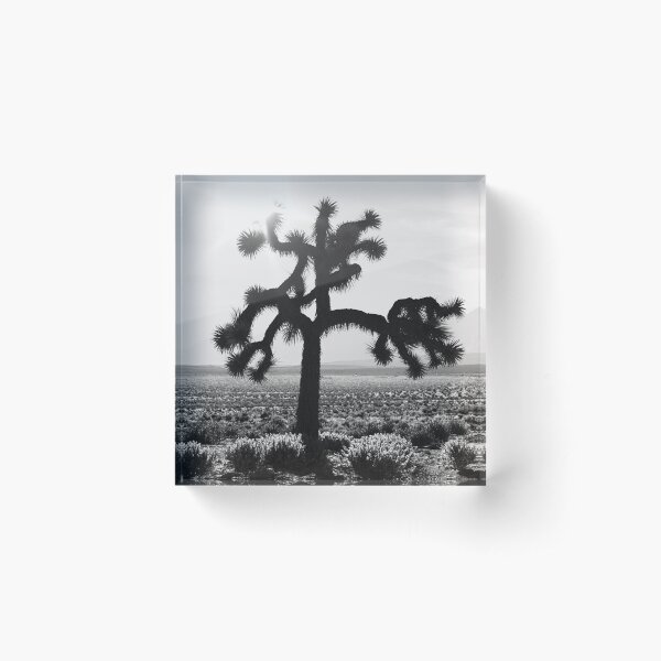 U2 The Joshua Tree Acrylic Block