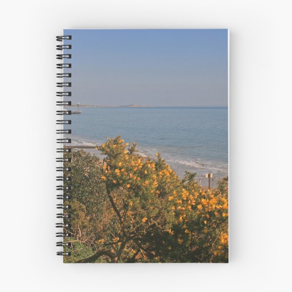 Item preview, Bournemouth Pier from Alum Chine, February 2021 designed and sold by RedHillDigital.