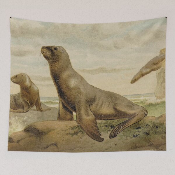 Item preview, Hookers Sea Lion designed and sold by redoARTstore.