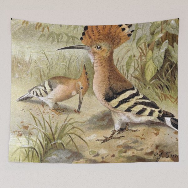 Item preview, Hoopoes  designed and sold by redoARTstore.