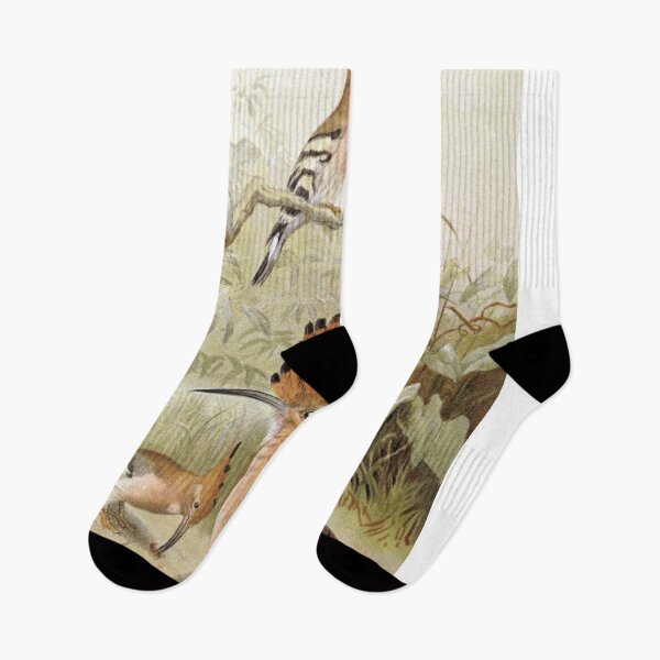 Item preview, Hoopoes  designed and sold by redoARTstore.